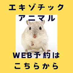 エキゾチックアニマル診療専門WEB予約