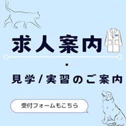 求人案内・実習見学・受け入れ・獣医師・動物看護師