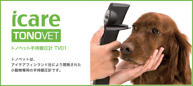 眼科関連機器